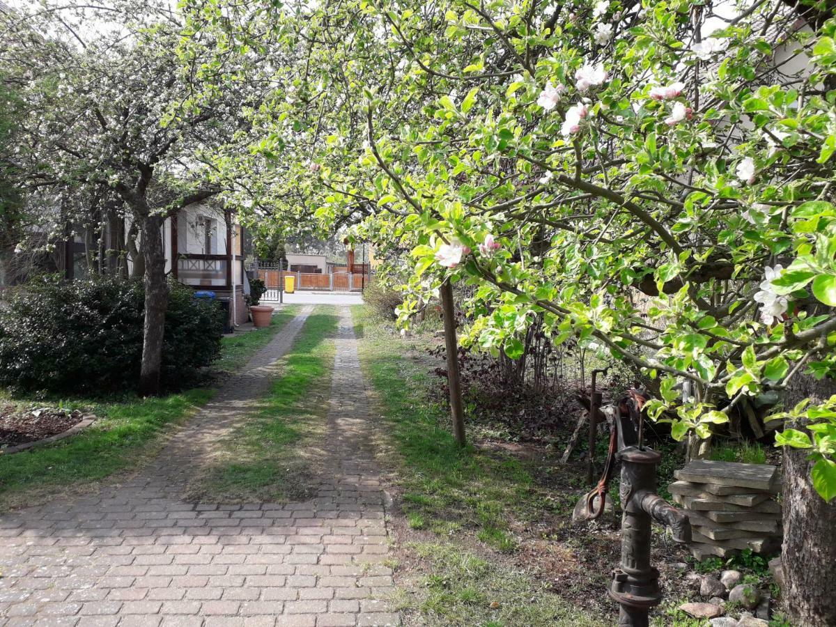 Ferienhaus Gartentraum Rheinsberg Luaran gambar